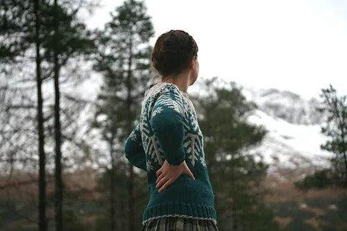 Northern Forest Yoke Sweater Knitting Pattern